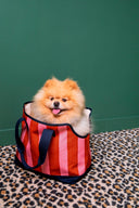 Borsa Cane - Stripes Old Pink Rust