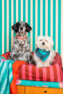 Cuccia Cane Grande - Stripes Old Pink Rust