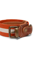 Collare Cane - Stripes Rust White