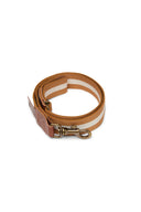 Dog Leash - Stripes Mustard White