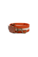 Dog Leash - Stripes Rust White