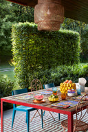Set Of 2 Cotton Placemats 35X48 cm - Oriental Garden Chutney